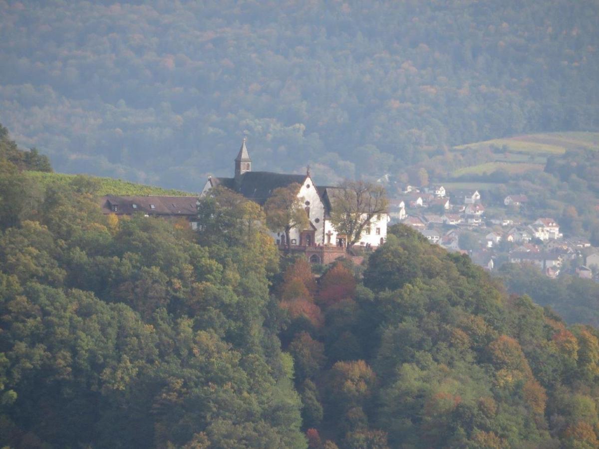 Ferienwohnung Familie Buchner Grossheubach Экстерьер фото