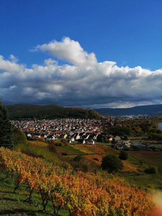 Ferienwohnung Familie Buchner Grossheubach Экстерьер фото