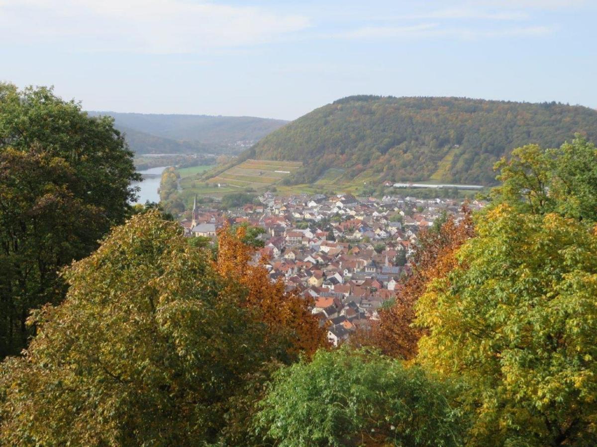 Ferienwohnung Familie Buchner Grossheubach Экстерьер фото